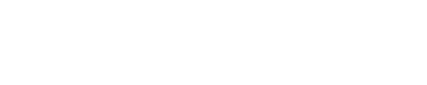 Wilensky Minerals Logo